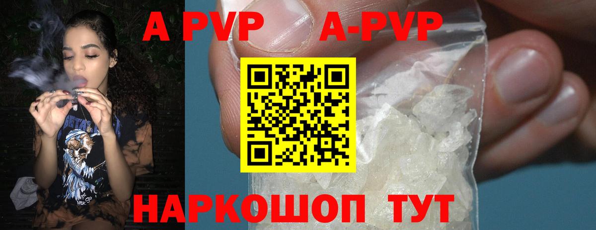 Альфа ПВП СК КРИС Владивосток