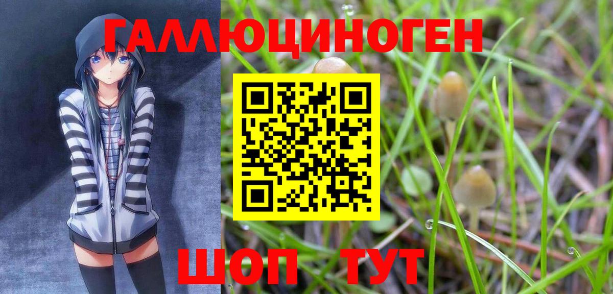 Владивосток  Галлюциногенные грибы Psilocybine cubensis  Вход с VPN 