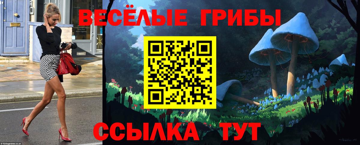 Псилоцибиновые грибы GOLDEN TEACHER Владивосток
